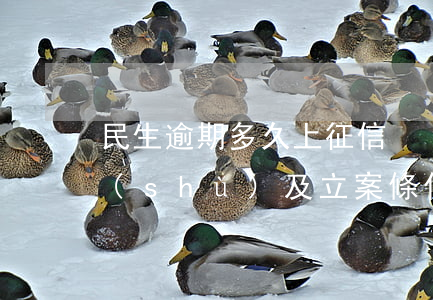 民生逾期多久上征信？具體天數(shù)及立案條件解析